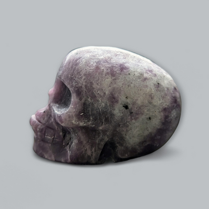 Medium Skulls