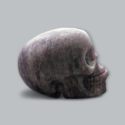 Medium Skulls