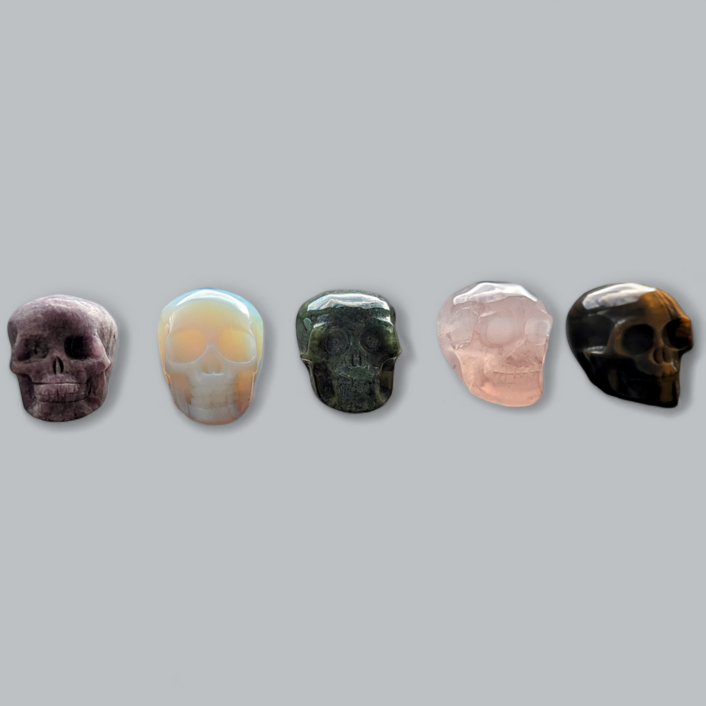 Medium Skulls