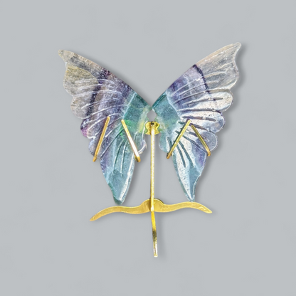 Fluorite wings