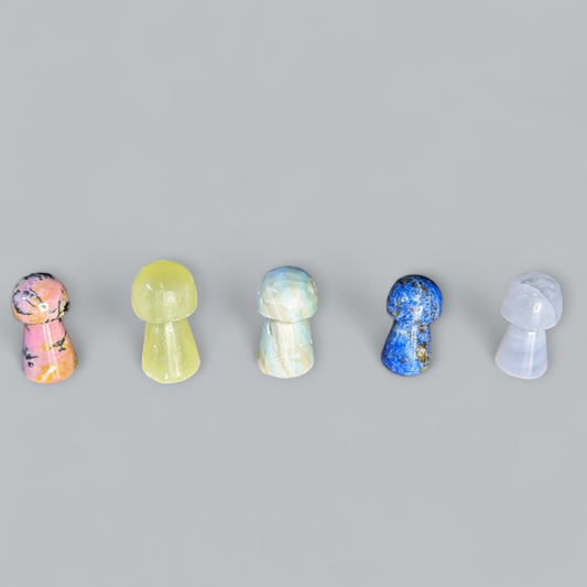 Mini Mushroom Carvings