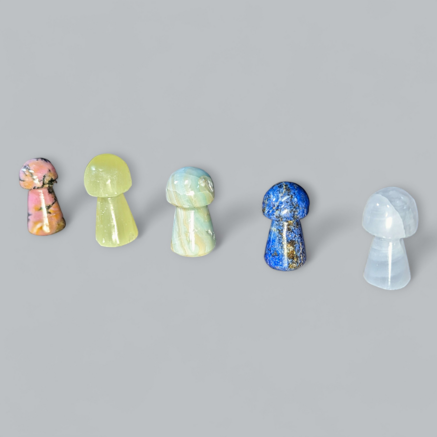 Mini Mushroom Carvings