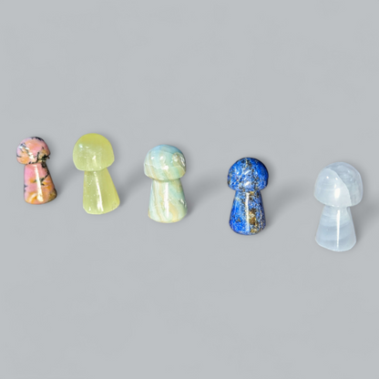 Mini Mushroom Carvings