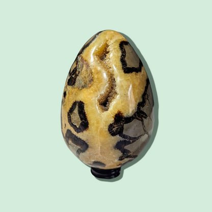 Septerian Jasper Eggs